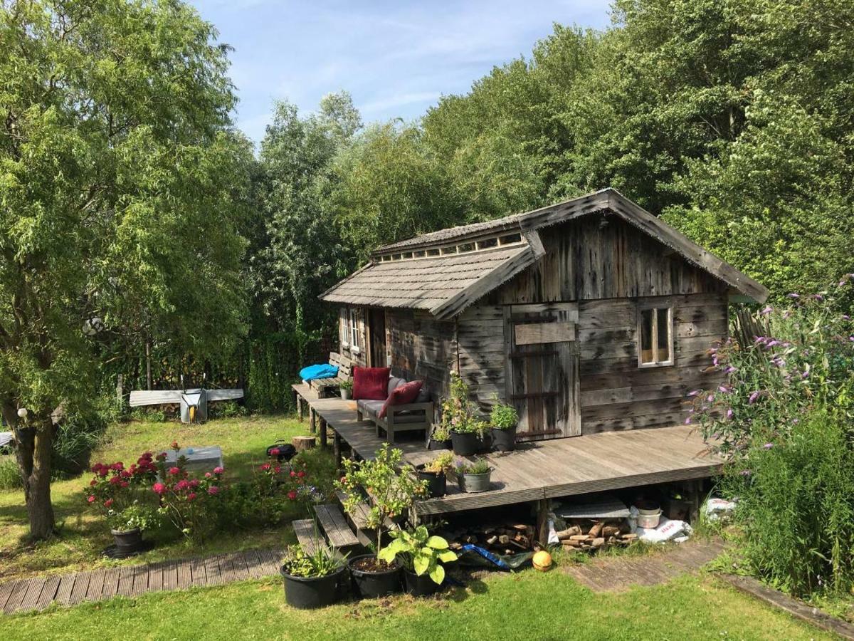 Cabin In The Green - Near Amsterdam Velsen-Zuid Eksteriør bilde